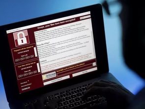 网络与信息安全信息通报中心 软件开发的关键角色